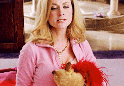 mean girls dog
