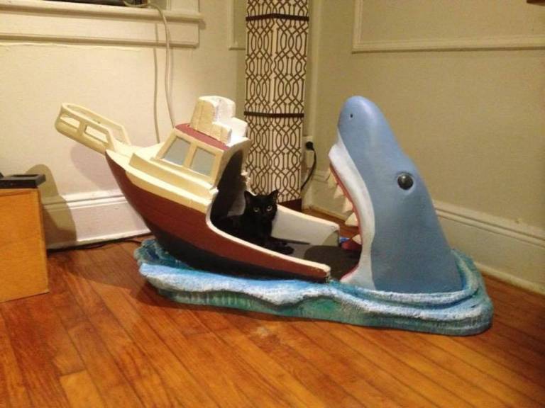 You Will Not See This Baby Cradle Every Day! Trending Story