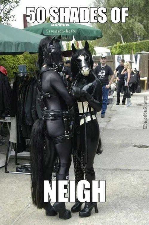 50 Shades of Neigh!! Hilarious Facts