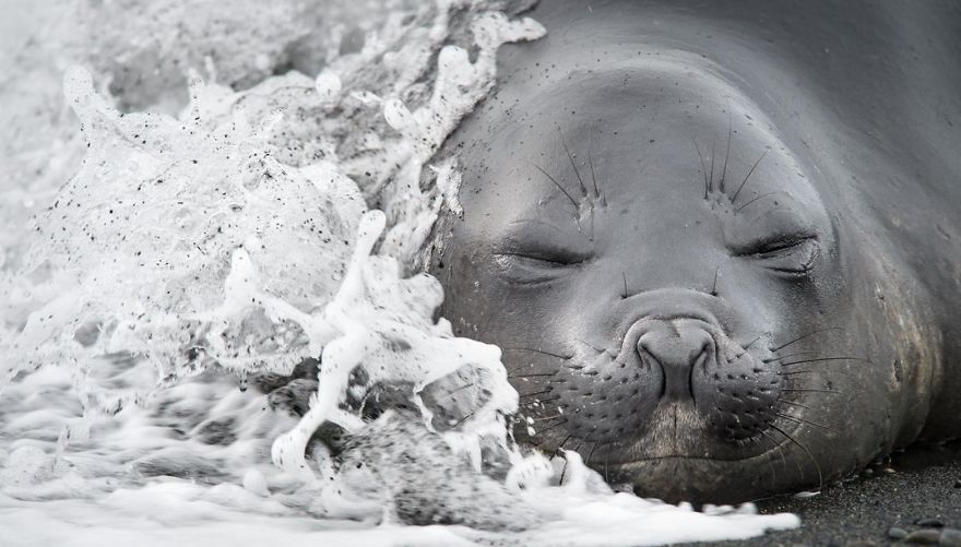 Spectacular finalists of 12th Smithsonian Photo Contest
