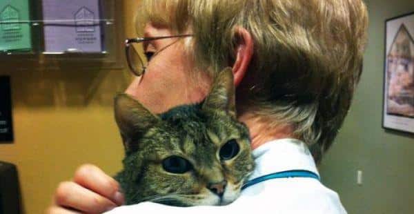 Affectionate Animal Hugs