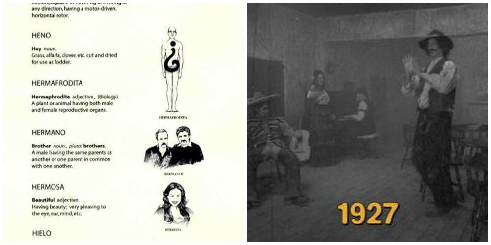 arrested development cameos