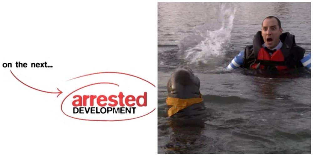 arrested development on the next