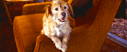 anchorman Baxter