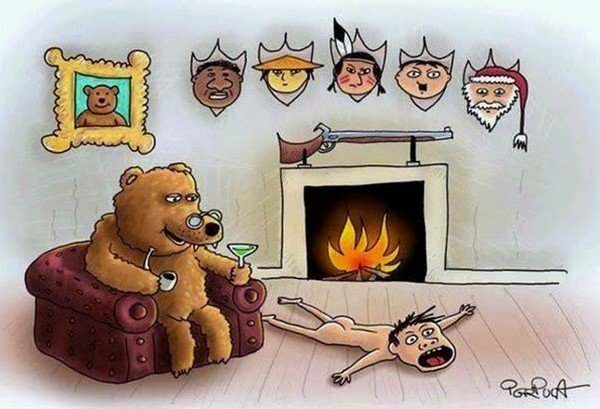 Bear Animal Right