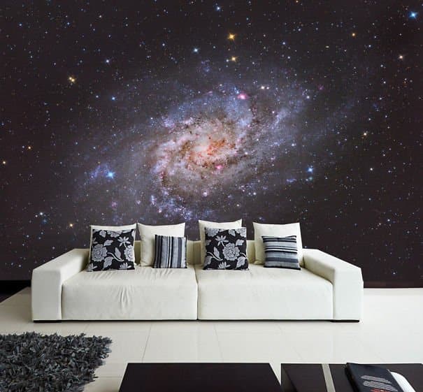 Beautiful Galax Wall Decal