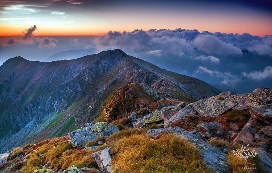 Magnificent Transylvania