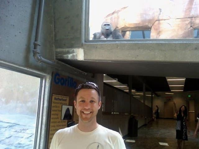 Best Animal Photobombs Ever 11 - Angry
