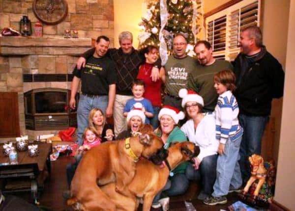 Funniest Animal Photobombs Ever 16 - Dogs doing it
