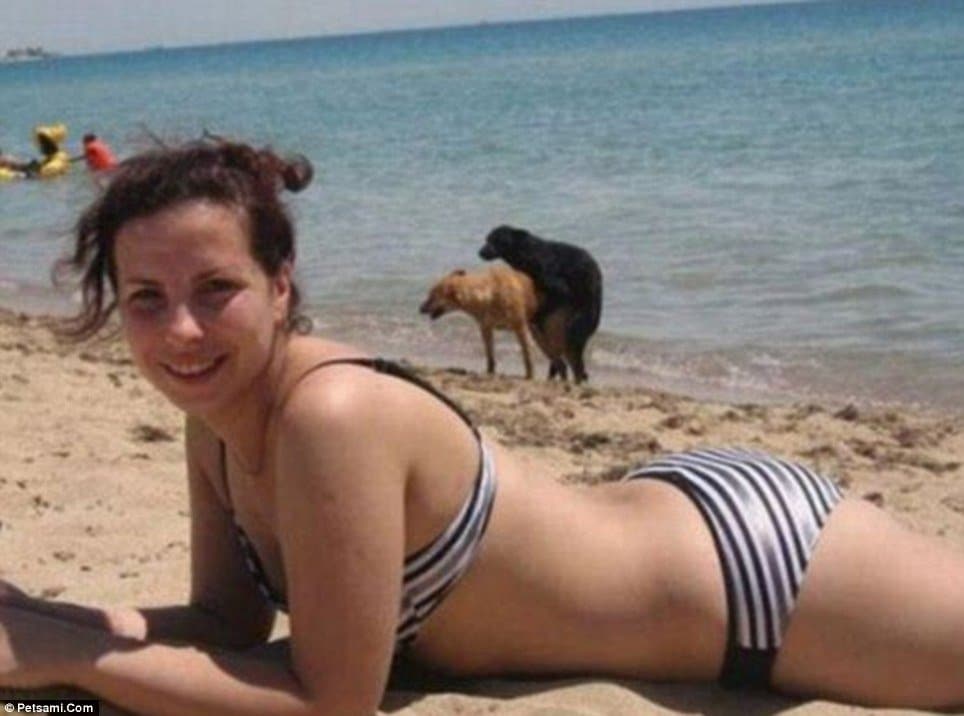 Best Animal Photobombs Ever 16a - Dogs doing it on beach