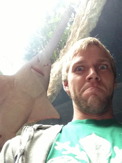 Best Animal Photobombs Ever 18 - Saw Fish