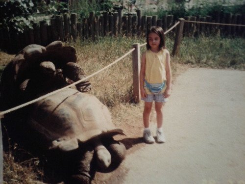 Best Animal Photobombs Ever 23 - Turtle