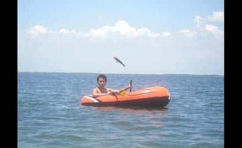 Best Animal Photobombs Ever 23a - Flying Fish