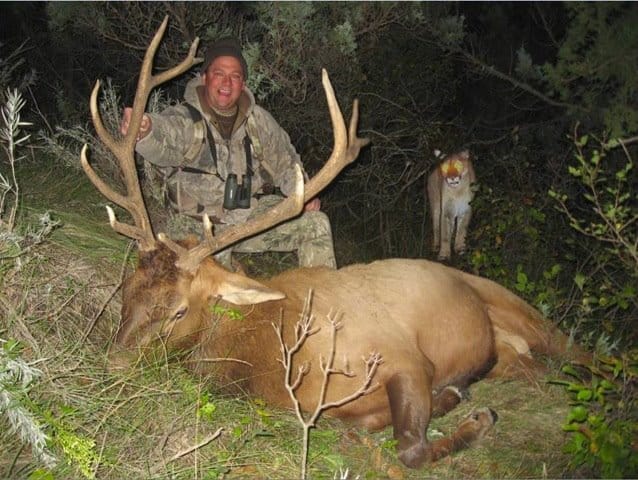 Best Animal Photobombs Ever 39 - Lion Hunter