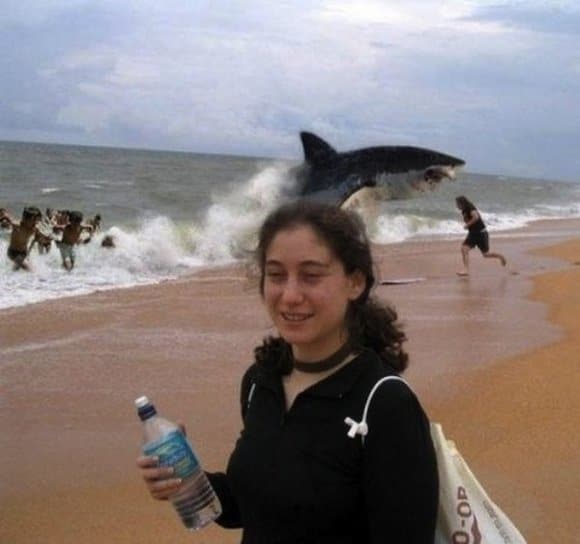 Best Animal Photobombs Ever 6 - Big Shark