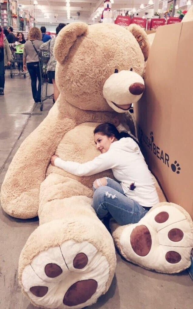 Big Teddy Bear for Valentines Day 8 Huge
