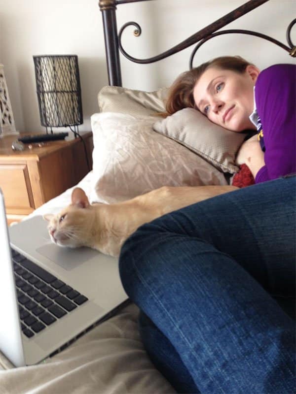 Both Movie Lovers Pet and Owners