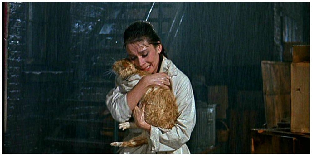 breakfast at tiffany's cat