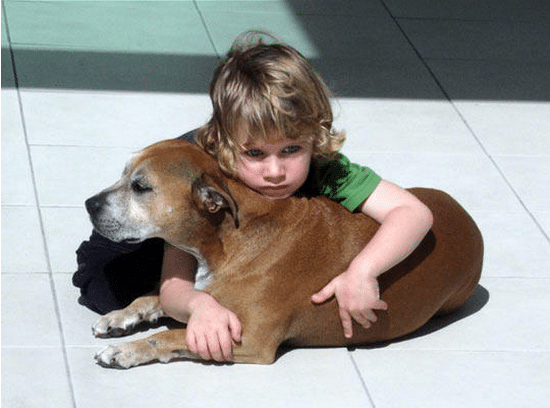 A 6-year-old Explains Dog’s Life and Death – Sad Memes
