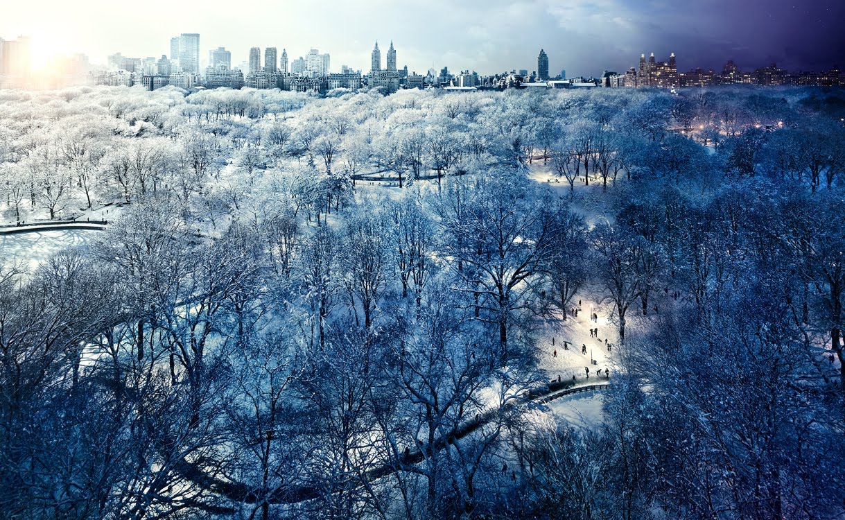 Central Park, NYC Day and Night