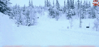 Christmas miracle Lucky