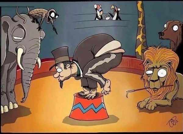 Circus Animal Right