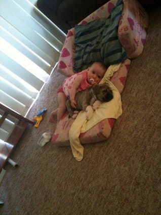 Cute Baby and Dog
