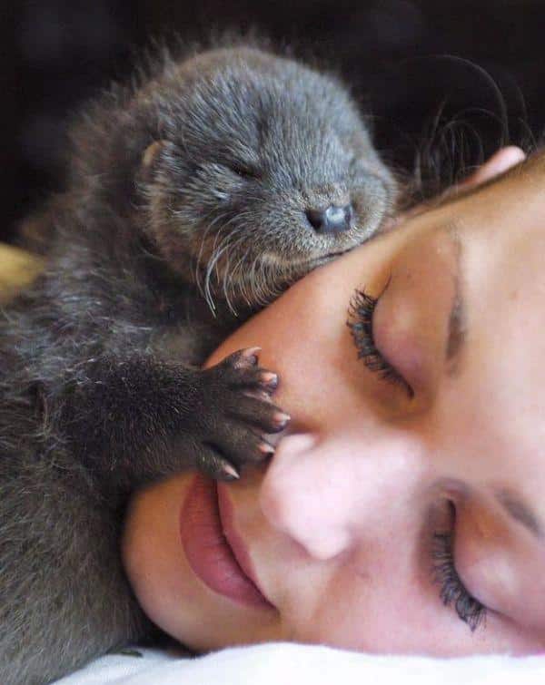 Cute Little Animal Hug