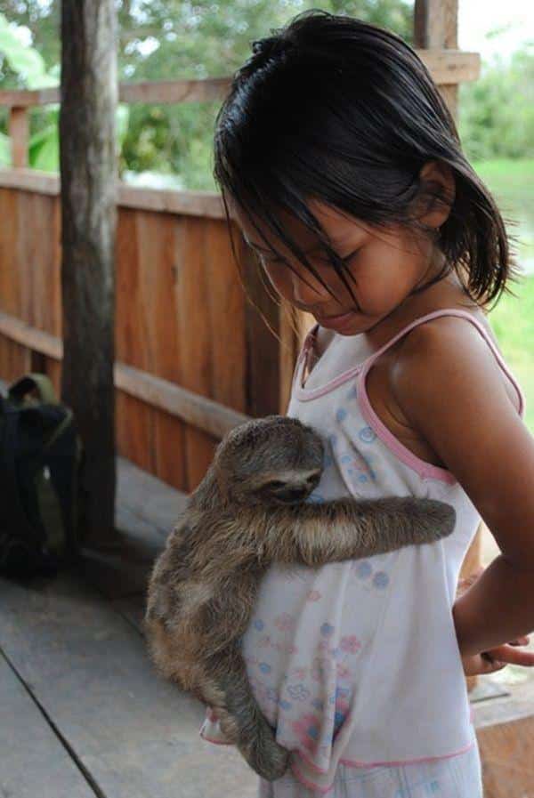 Cutest Animal Hugs