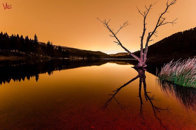Derwent Valley Water Reflection