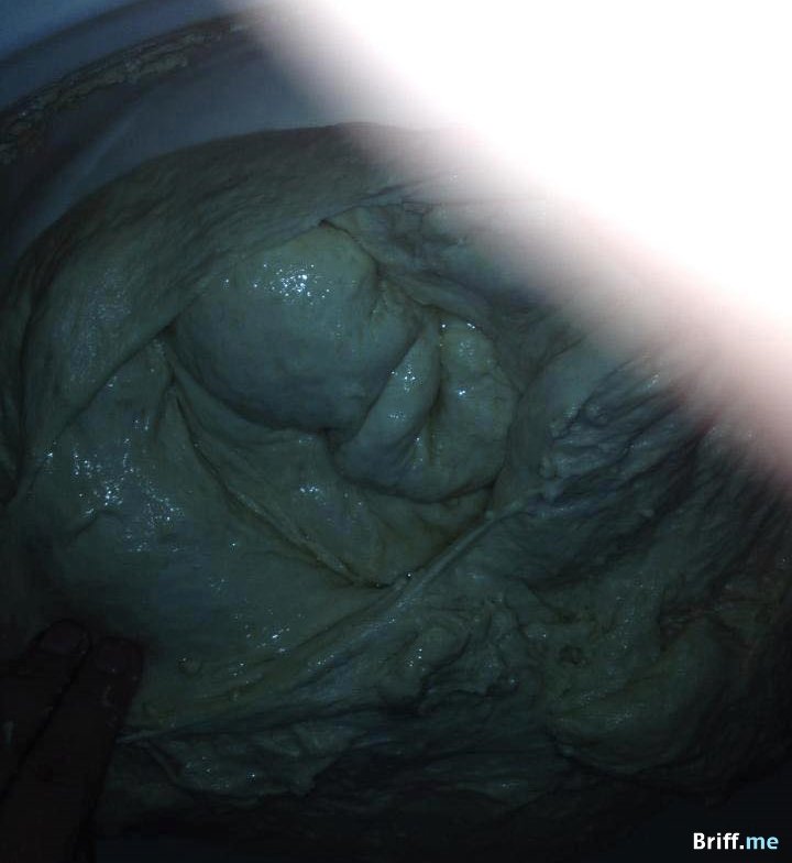 Divine Miracle or Dough Alien
