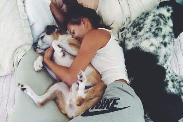 Dog Animal Hug