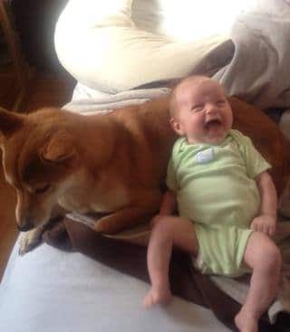 Dog Pillow Dog and Baby