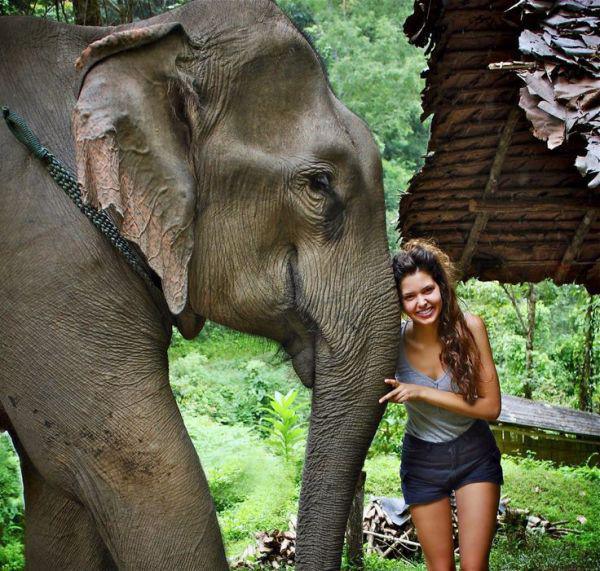 Elephant 2 Animal Hug