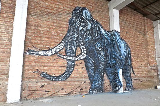 Elephant Animal Mural