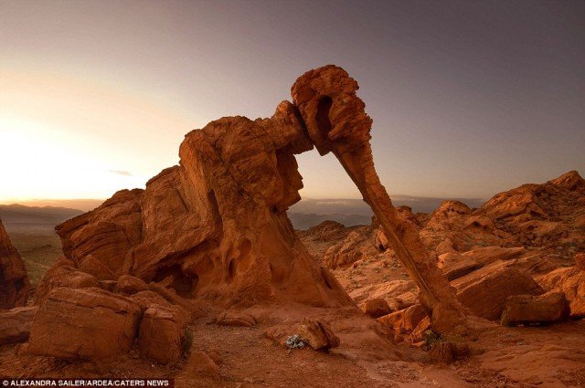 Elephant Rock Travel Idea
