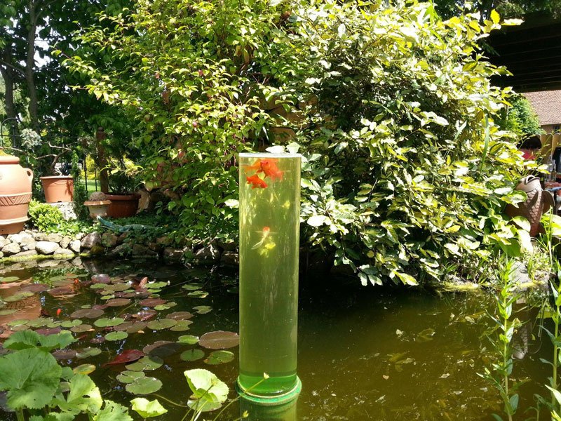Even Goldfish has a watchtower! Great Photos
