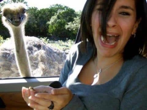 Fear Funny Photobomb