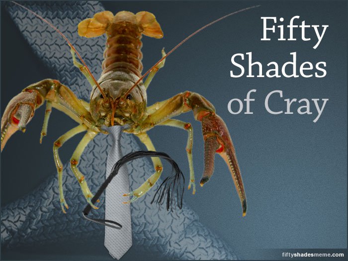 Fifty Shade of Cray