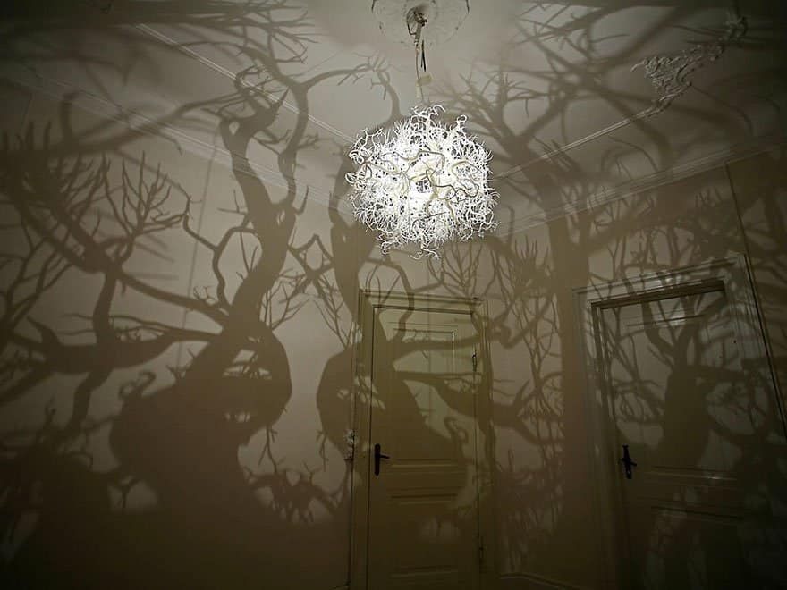 Forest like feelings Creative light