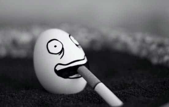 Funny Egg 1 Smoking