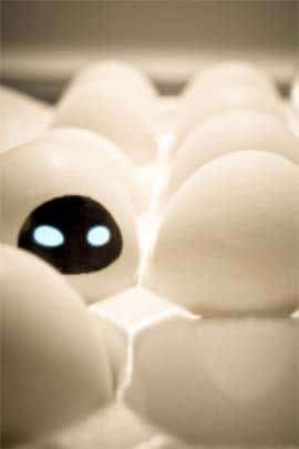 Funny Eggs 12 Wall-e Eve