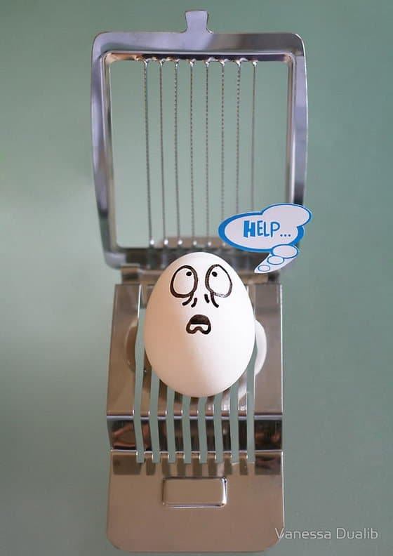 Funny Egg photos 7 help