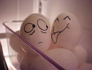 Funny Egg photos 8 Lick
