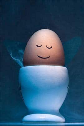 Funny Egg photos 9 sleep