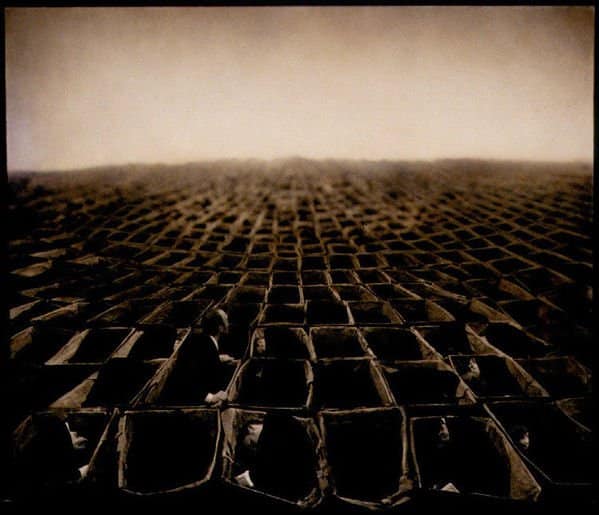 Garden of Selves Interesting Photos