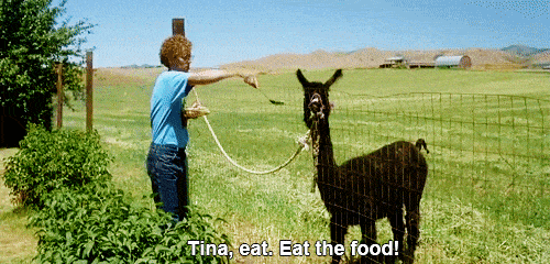napoleon dynamite tina