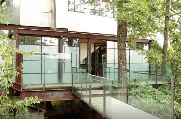 Glass Tree House Epic AirBNB