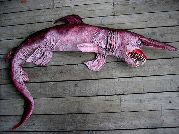 Goblin Shark Strange Animal