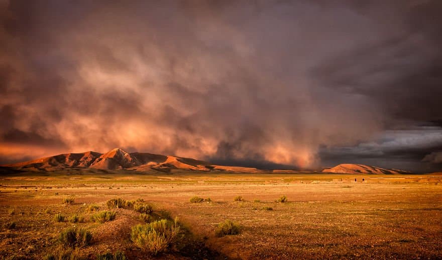 Golden with a Touch of Rainbow traveling Paradise